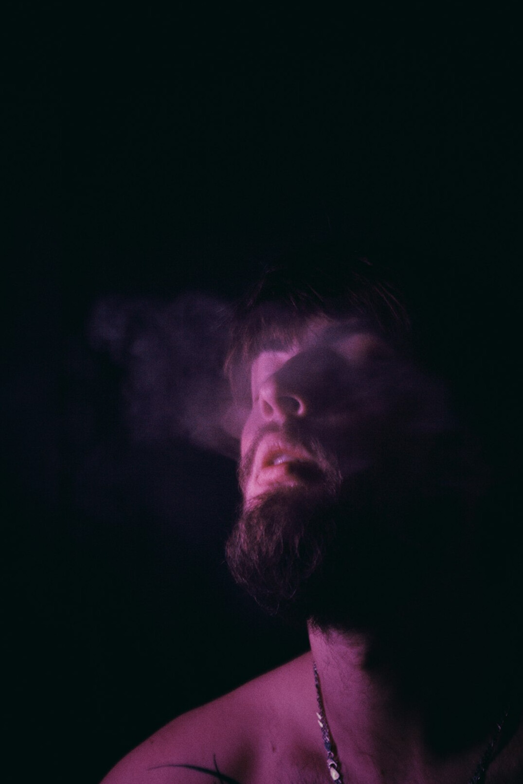Portrait of a bearded man looking at camera